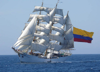  Ampliar imagen 